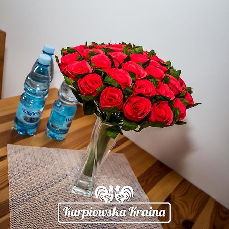 Kurpiowska Kraina Hotel Wydmusy Kültér fotó