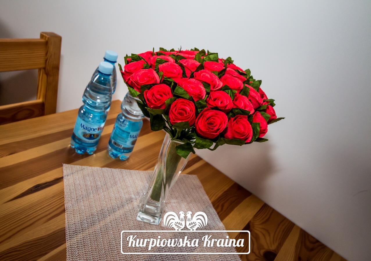Kurpiowska Kraina Hotel Wydmusy Kültér fotó